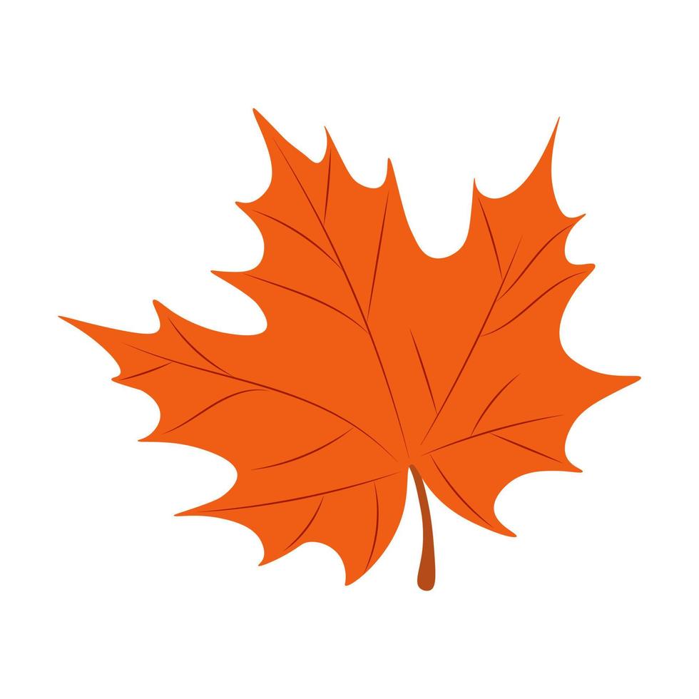 Maple leaves vector illustration. Autumn Fall leaves maple