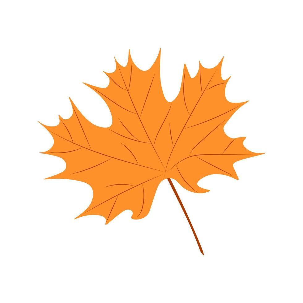 Maple leaves vector illustration. Autumn Fall leaves maple