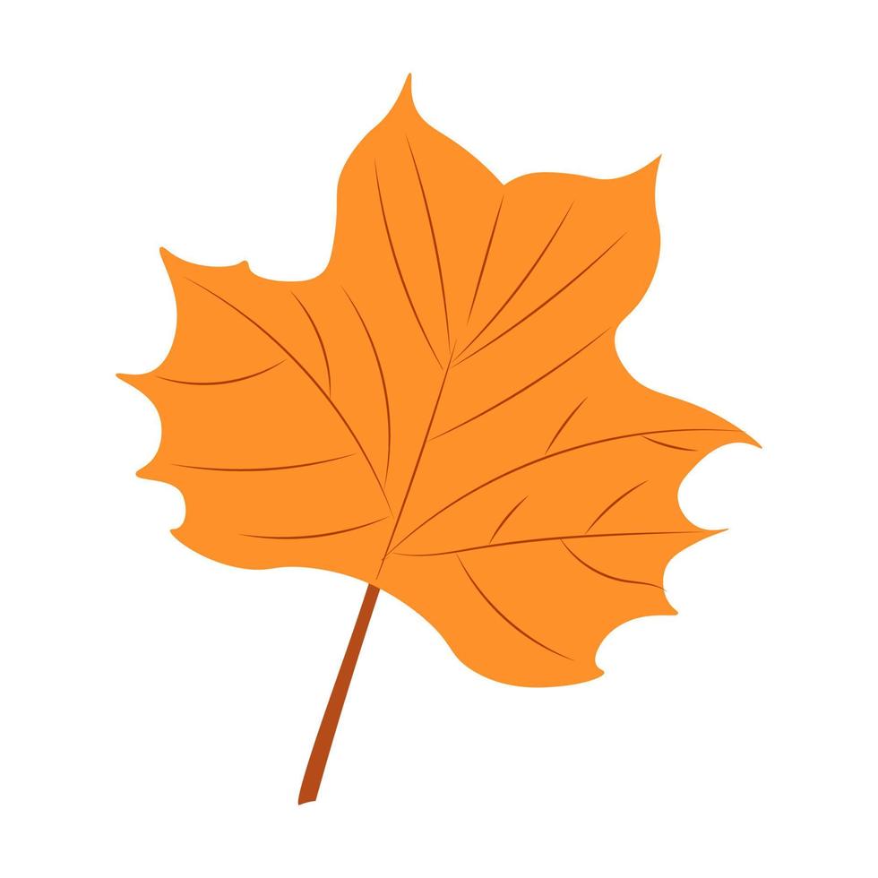 ilustración vectorial de hojas de otoño. hojas de otoño. vista superior de la hoja del árbol de otoño. vector plano