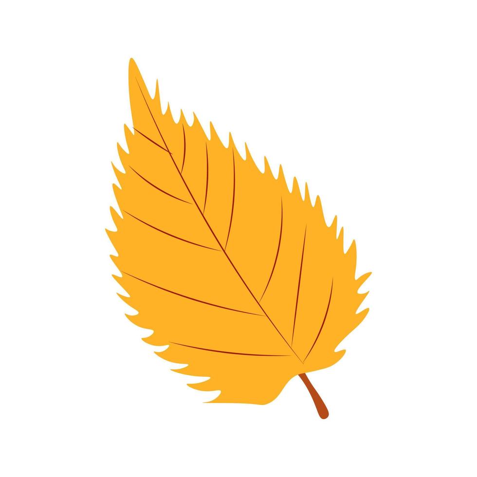 Autumn Leaves Vector Illustration. Autumn leaves. Top view of fall tree leaf. Flat vector
