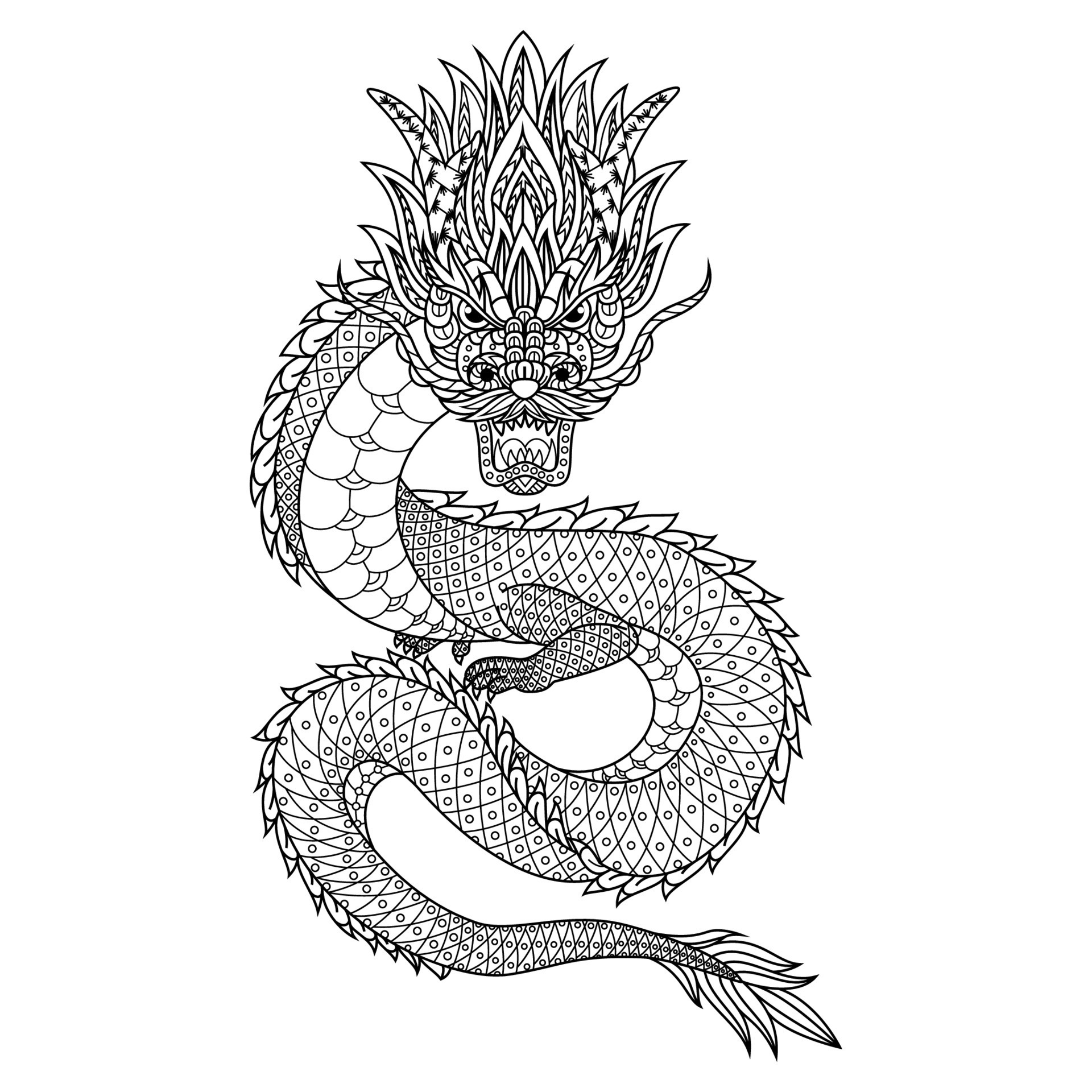 Dragon line art 11685298 Vector Art at Vecteezy