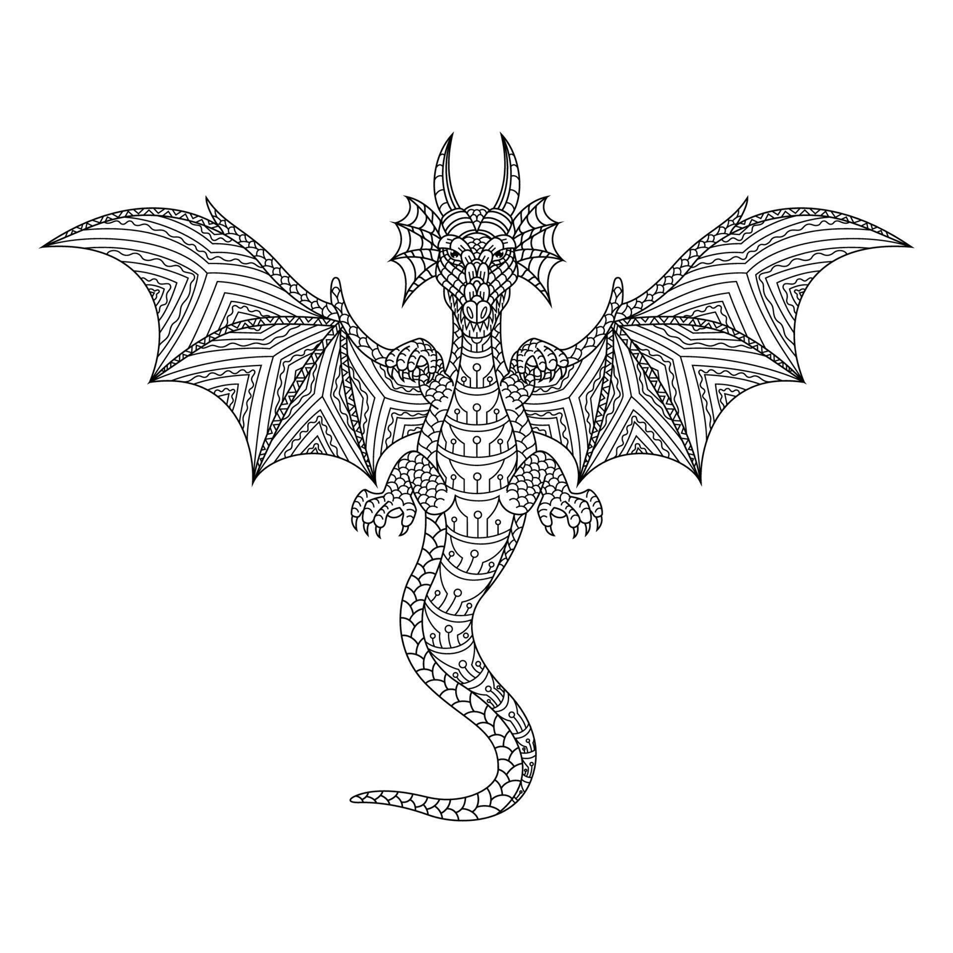 Dragon line art 11685334 Vector Art at Vecteezy