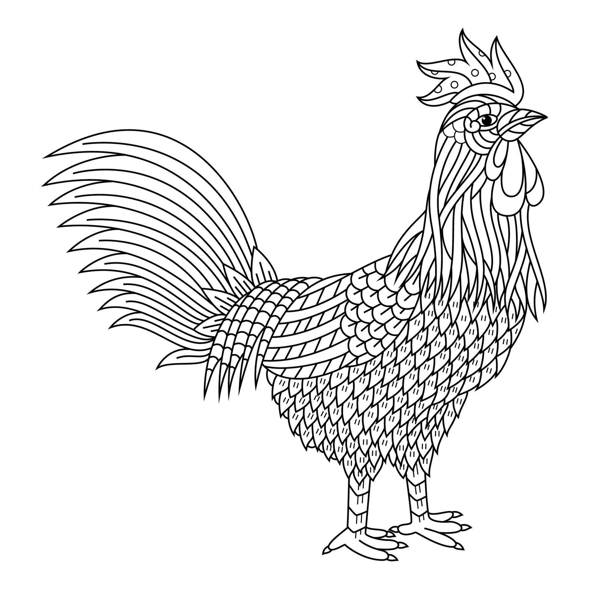 Rooster line art 11685338 Vector Art at Vecteezy