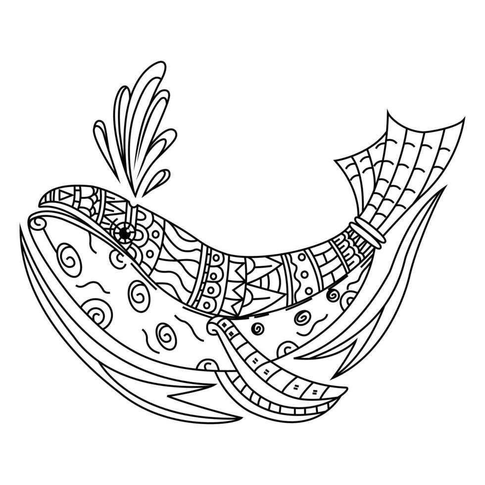 Whale line art vector