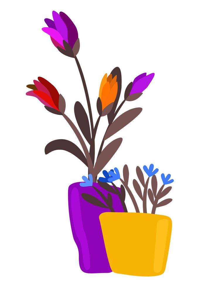 Bright flowers in pots. Vector isolated illustration.