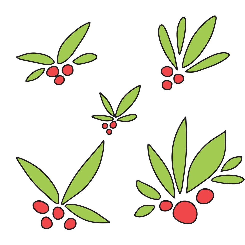 Holly berry. Set of Christmas berry. Hand draw line art outline color vertor illustration vector