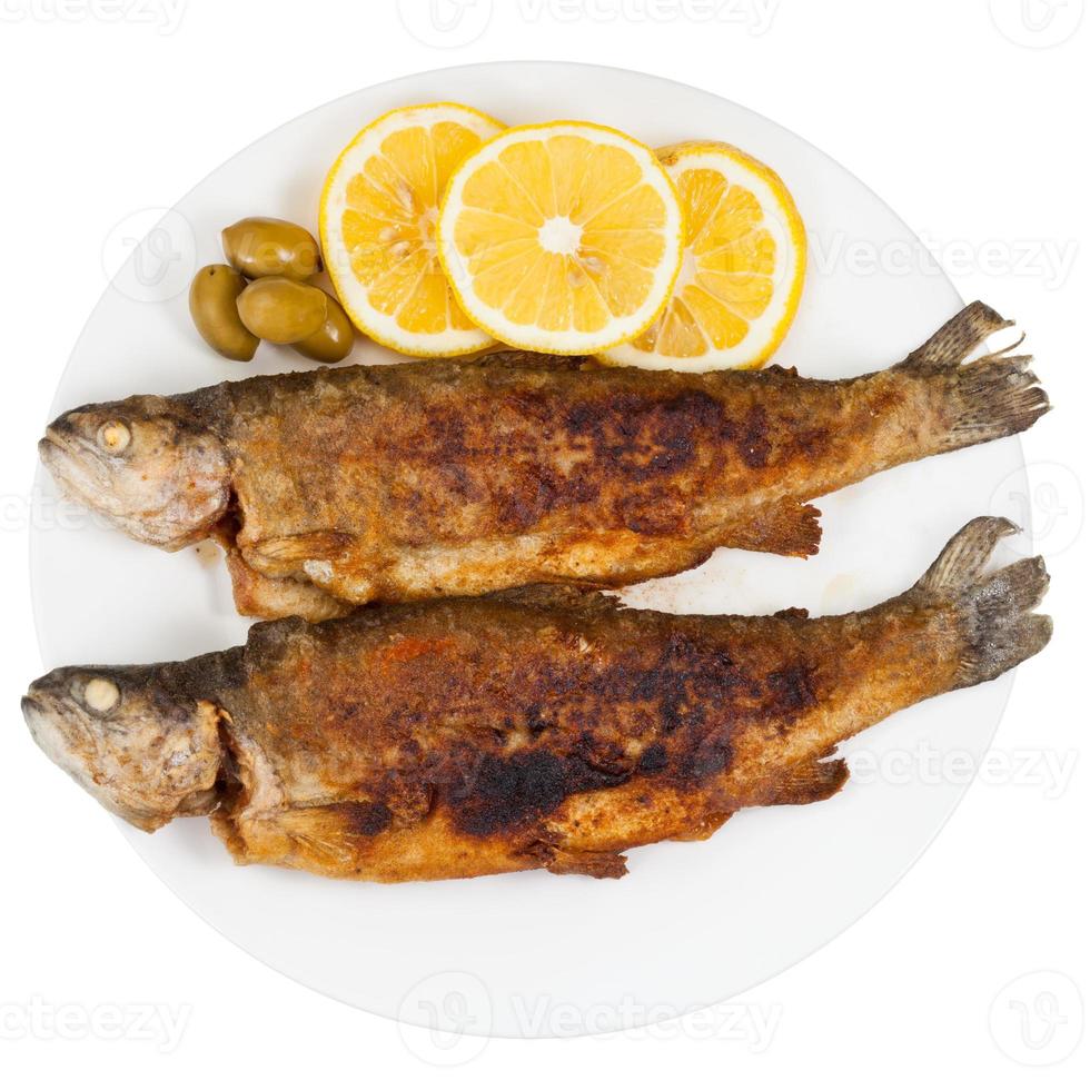 fried river trout fish on white background photo