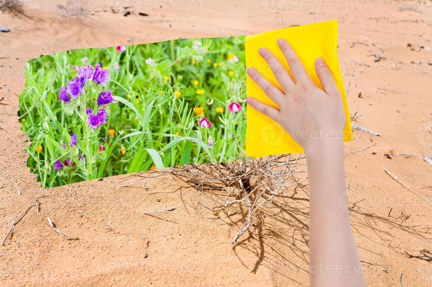 hand deletes sand in desert by yellow cloth photo