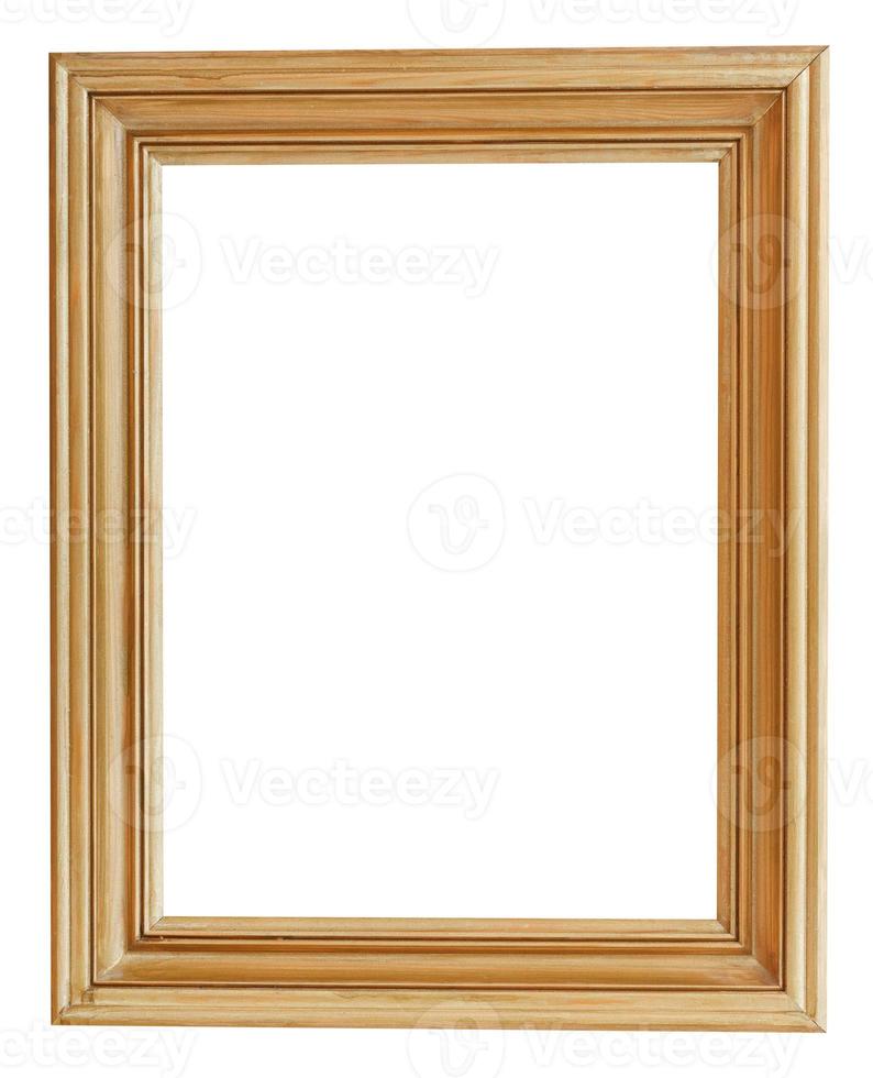 wide clacssical gilt picture frame photo