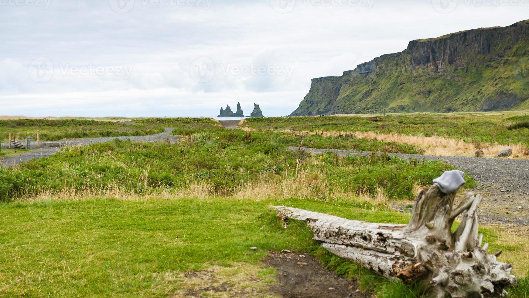 green seaside in Vik I Myrdal village in Iceland photo