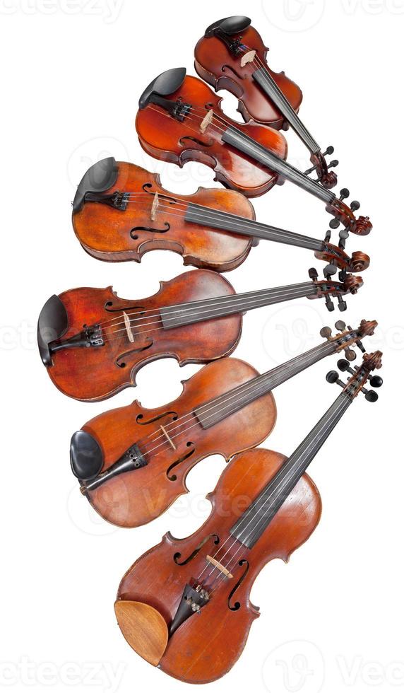 violines de diferentes tamaños aislados foto