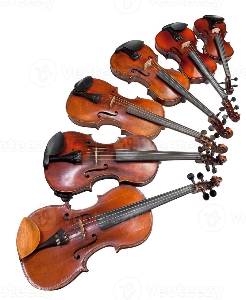seis tamaños de violines foto