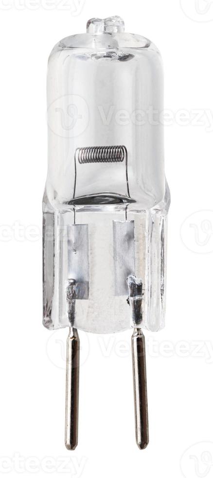 small transparent halogen lamp photo