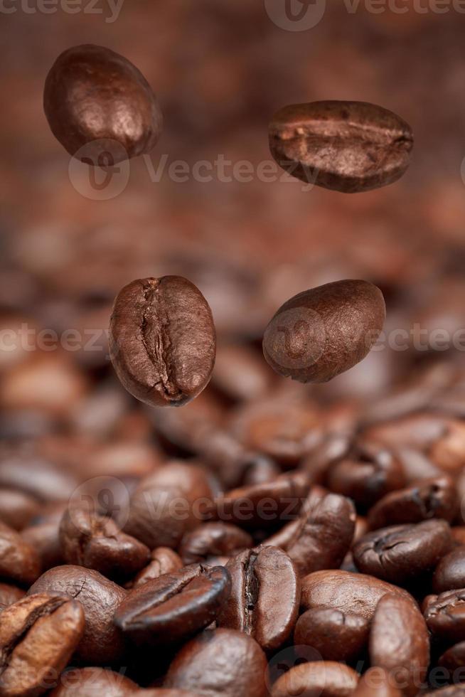 four falling beans and roasted coffee photo