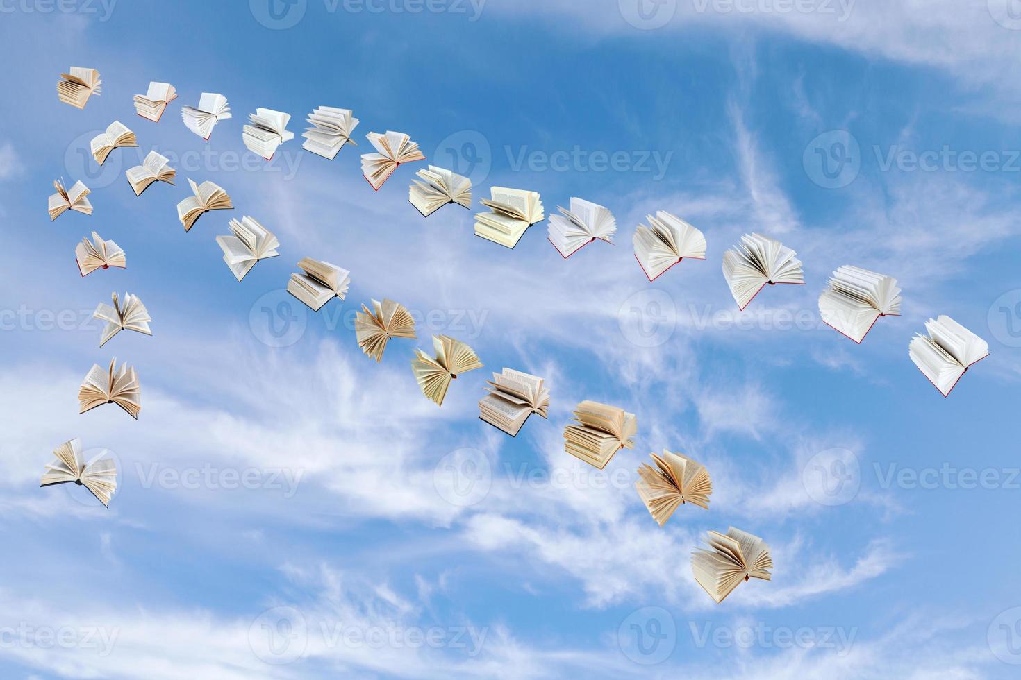 flock of flying books in blue sky photo