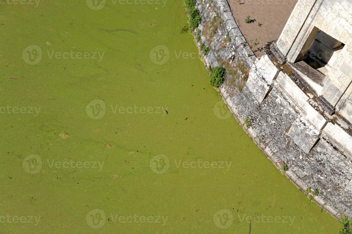 overgrown with duckweed moat photo