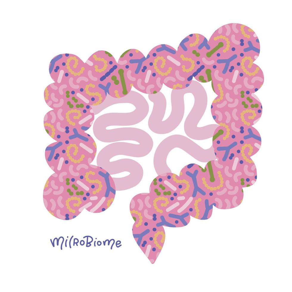 Gut with microbiome isolated concept. Human intestines with microbiota healthy probiotic bacteria inside. Flat hand drawn vector abstract medicine illustration of microbiology checkup.