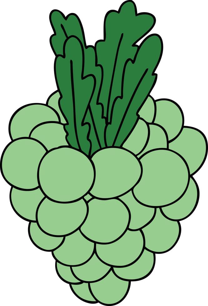 quirky hand drawn cartoon bunch of grapes vector