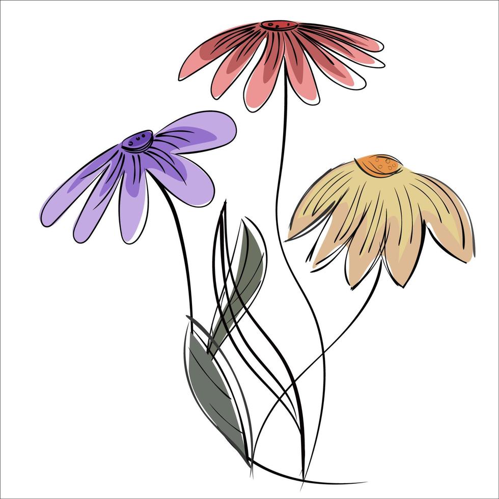 dibujo de flores para un logo, postal. Dibujo a mano. patrón floral. vector