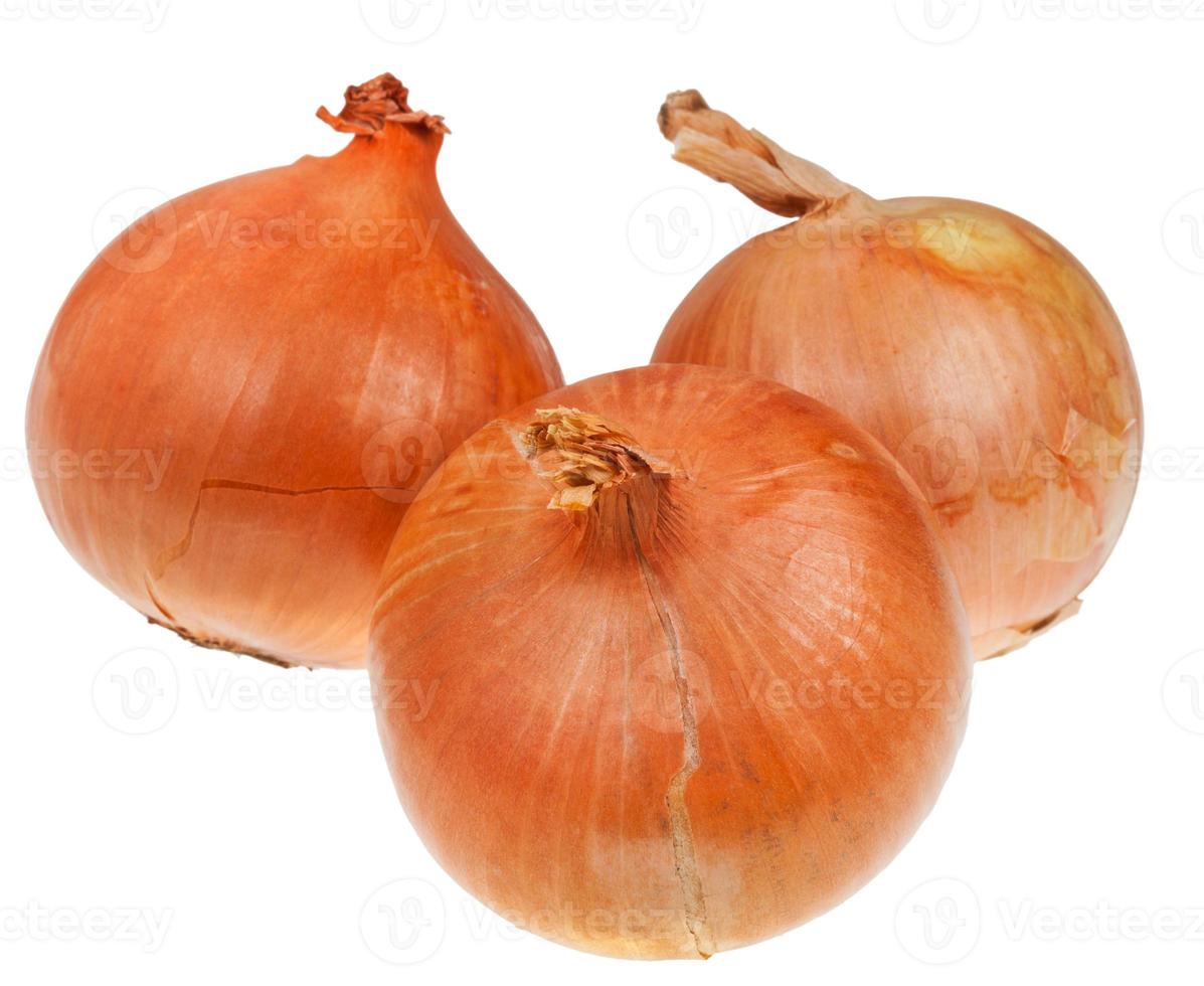 three onion bulbs 11690396 Stock Photo at Vecteezy