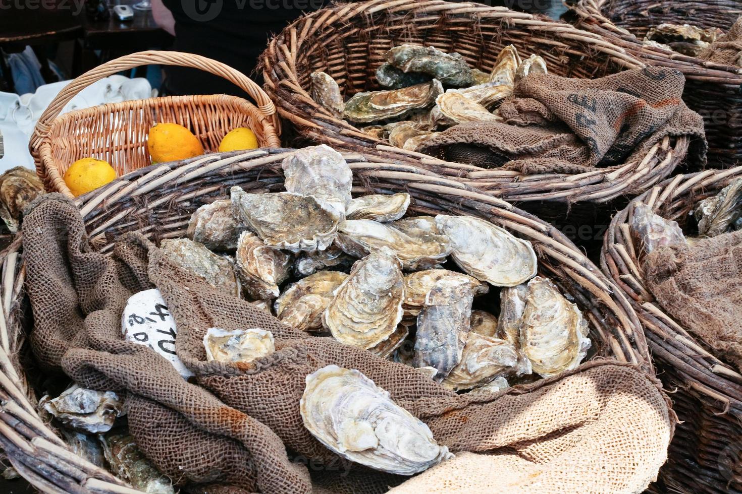 ostras frescas en el mercado foto