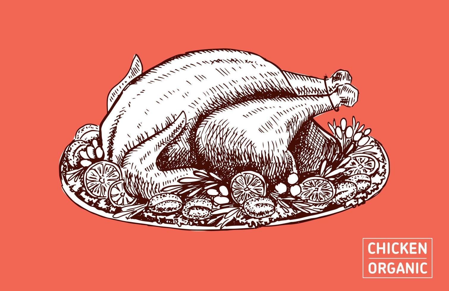 pollo para menú navideño. ilustración de boceto vector