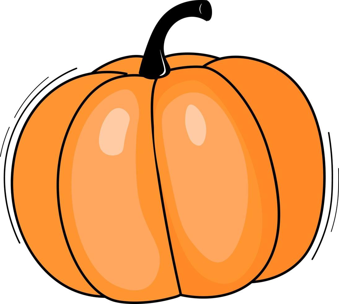 calabaza sobre un fondo blanco vector