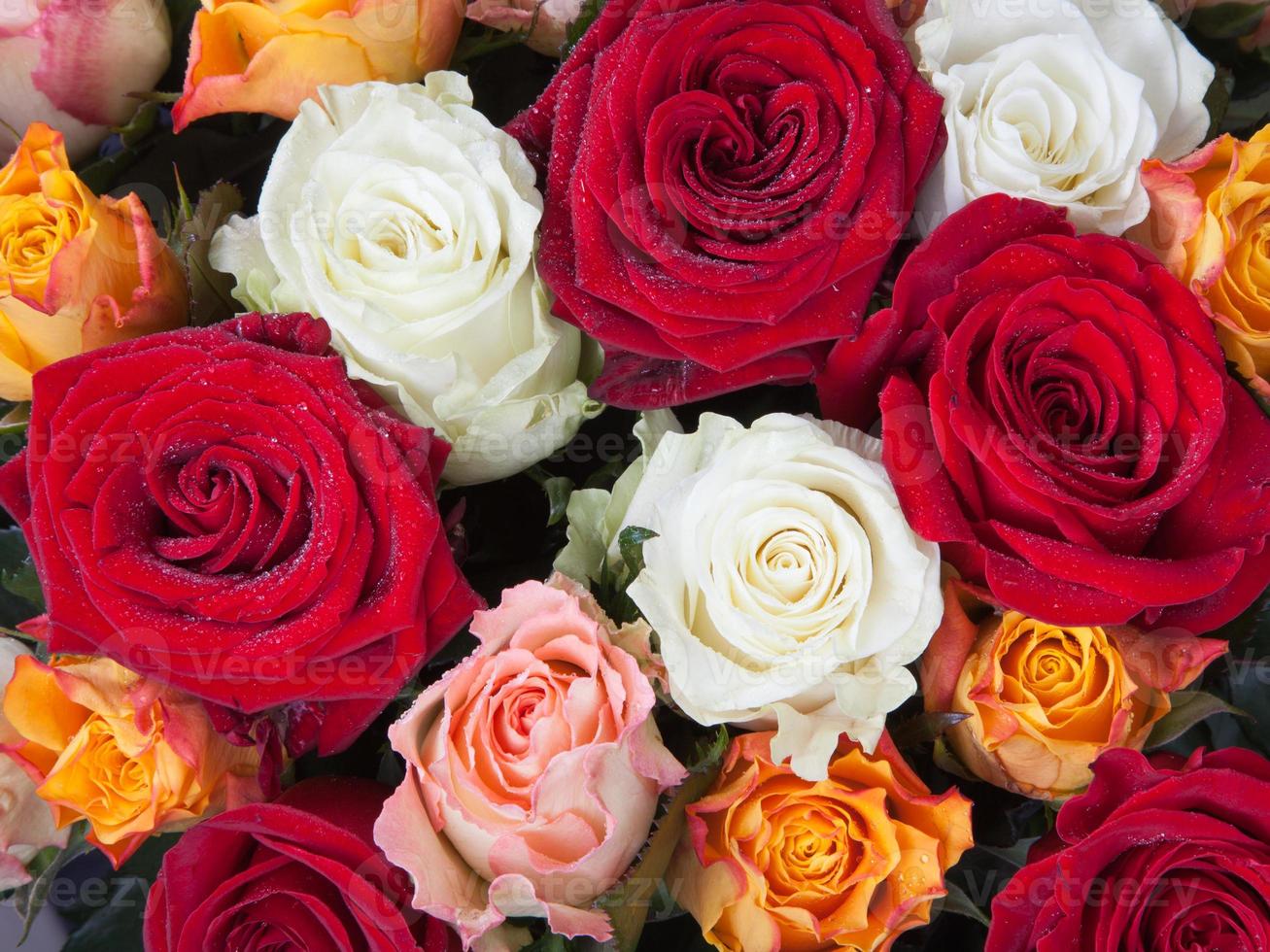 bouquet of roses photo