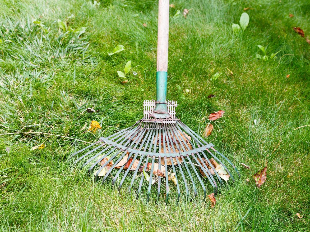 lawn care with the help of rake 11691011 Stock Photo at Vecteezy