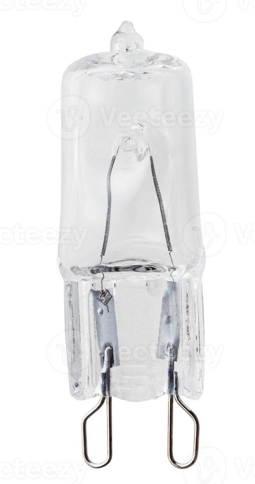 small halogen lamp photo
