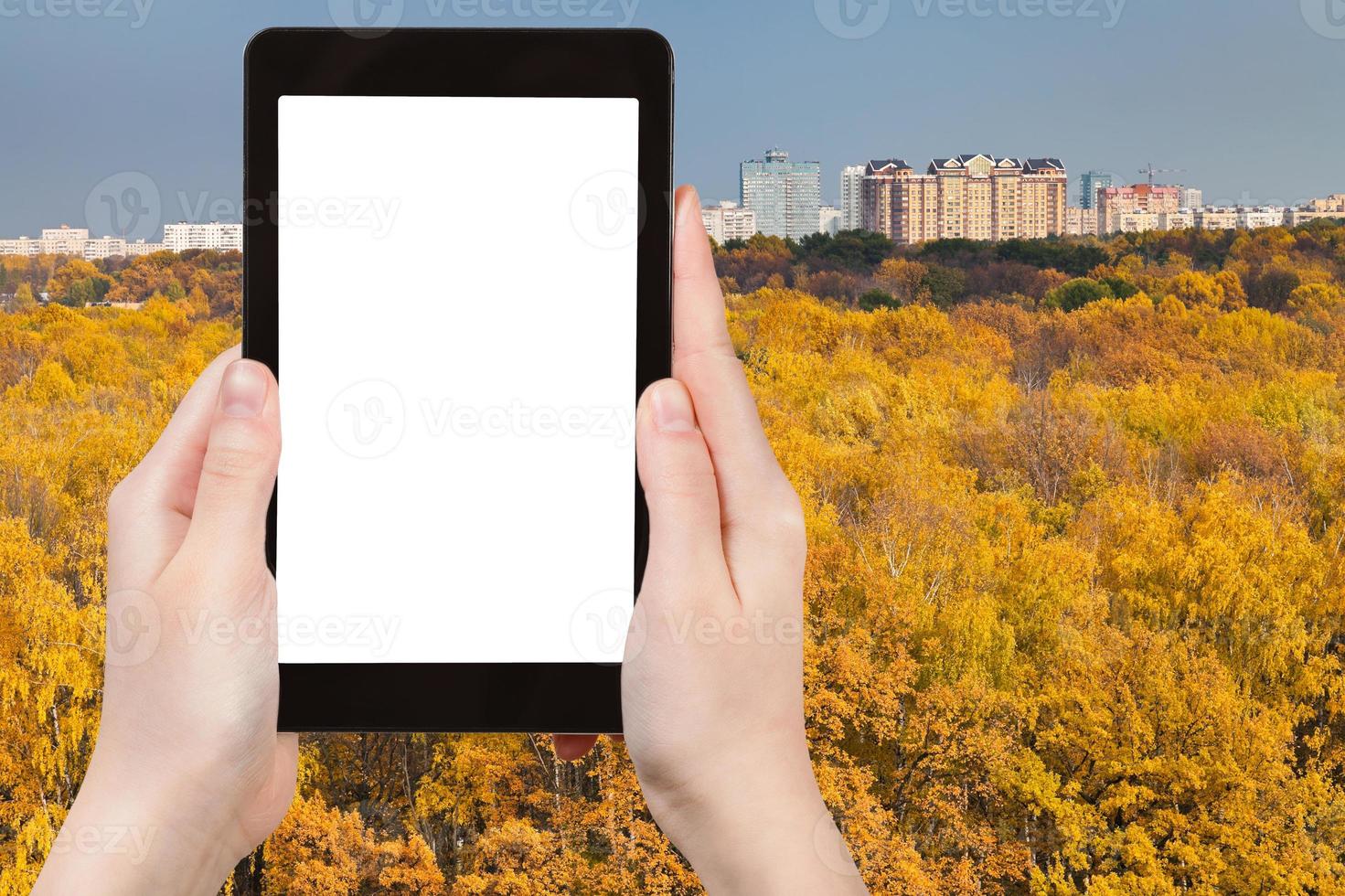 teléfono inteligente y bosques amarillos de otoño cerca de la ciudad foto