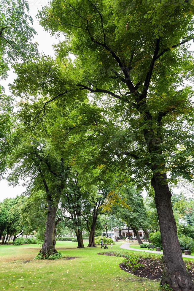 árboles viejos en el jardín vermanes en la ciudad de riga foto