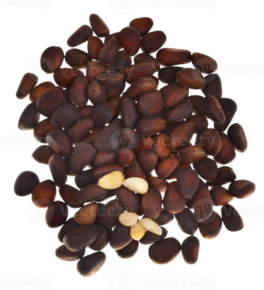 handful of pine nuts isolated photo
