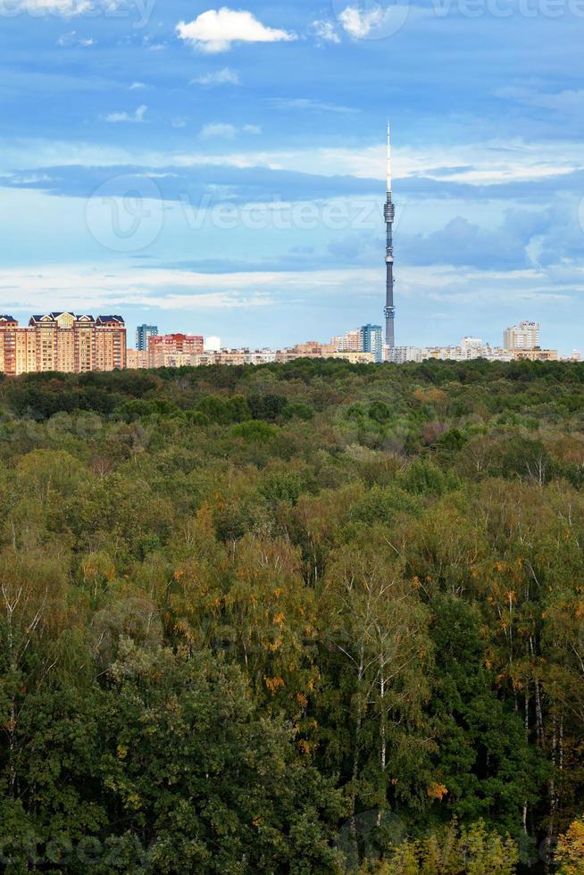 autumn urban park photo