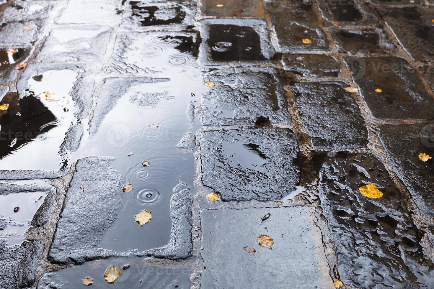 old pavement with rain puddle in autumn photo