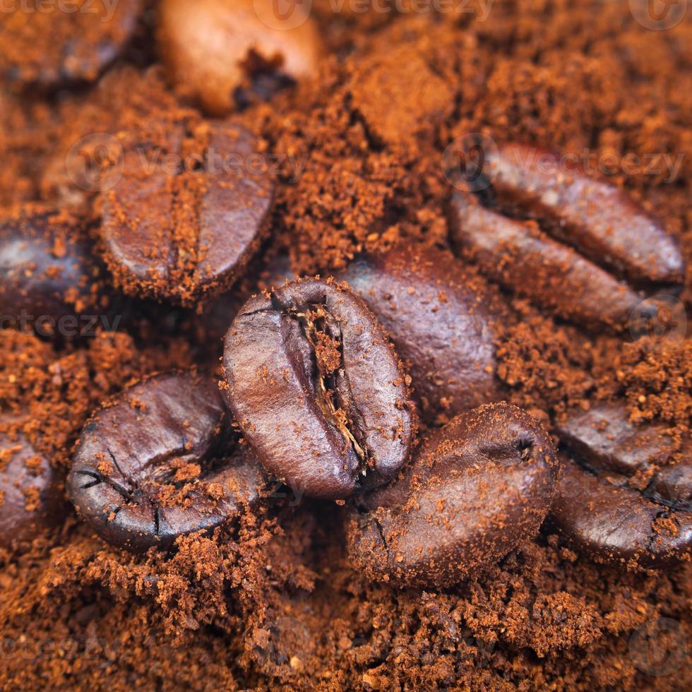 ground and roasted coffee beans photo