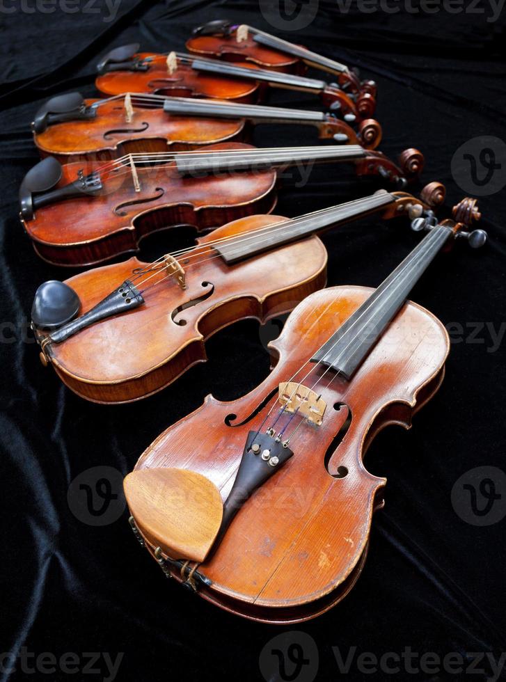 different sized fiddles on black photo