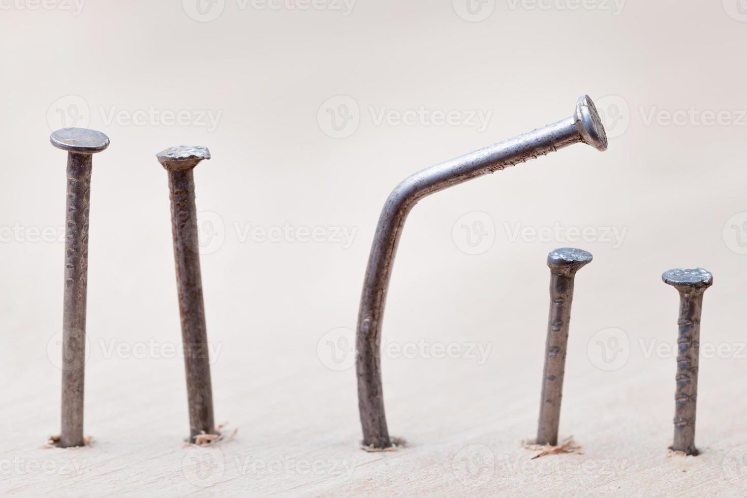 line of nails photo