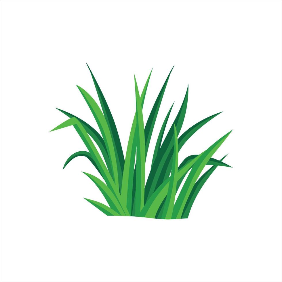 ilustración vectorial de hierba. planta verde en el patio. vector