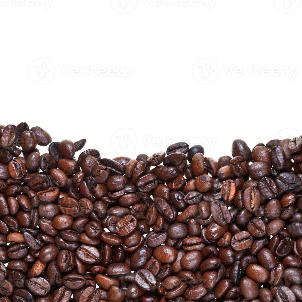 roasted coffee beans close up photo