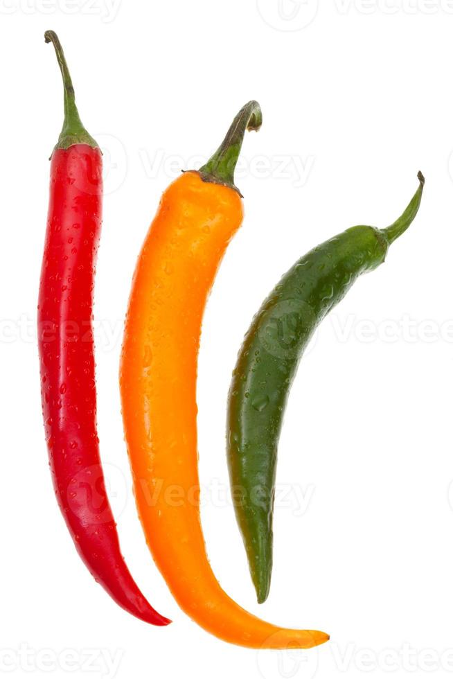 pods of different hot peppers photo