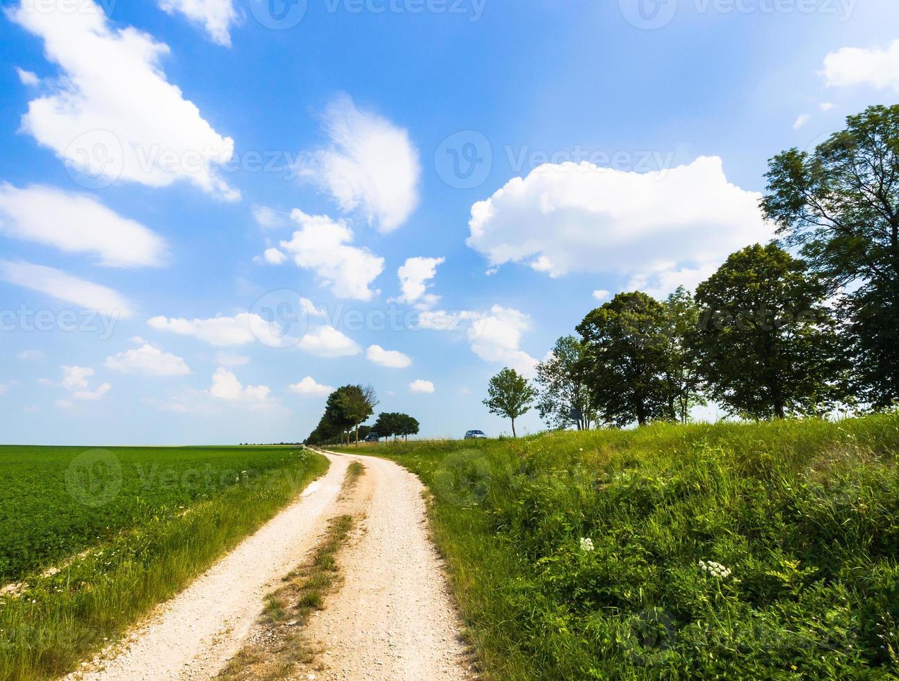 dirty road along green medicago field in France photo