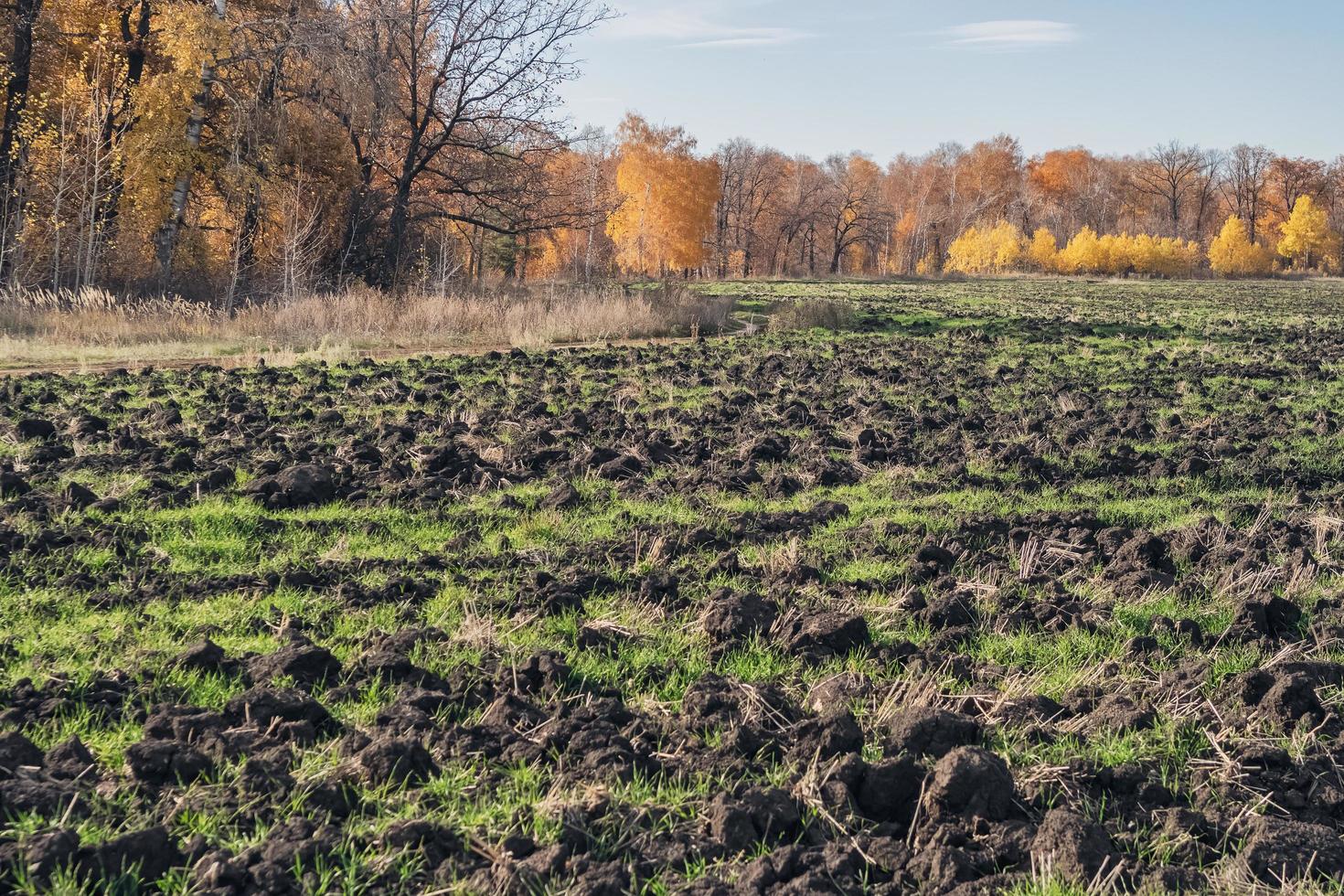 campos agrícolas a finales de otoño. labranza mecánica para la preparación de invierno. foto