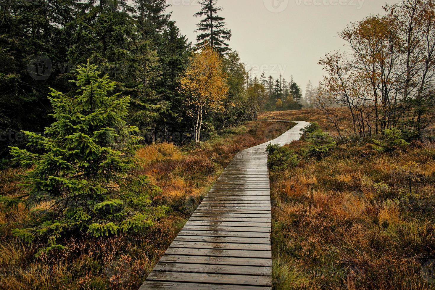 Moorland on a rainy day photo