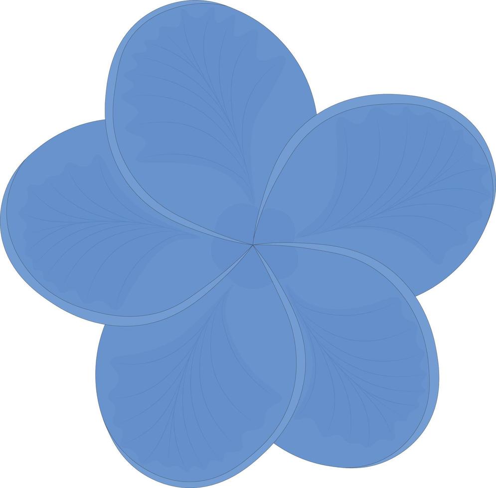 Blue color plumeria frangipani flower vector illustration