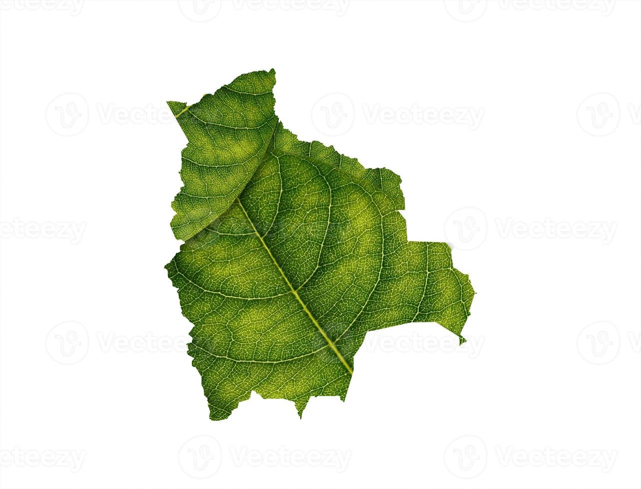 Bolivia map made of green leaves on soil background ecology concept photo