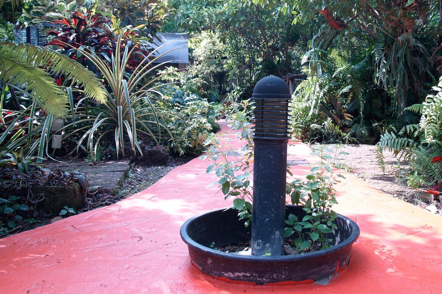 A black light pole in the middle of the road between the path to see the tree in garden photo