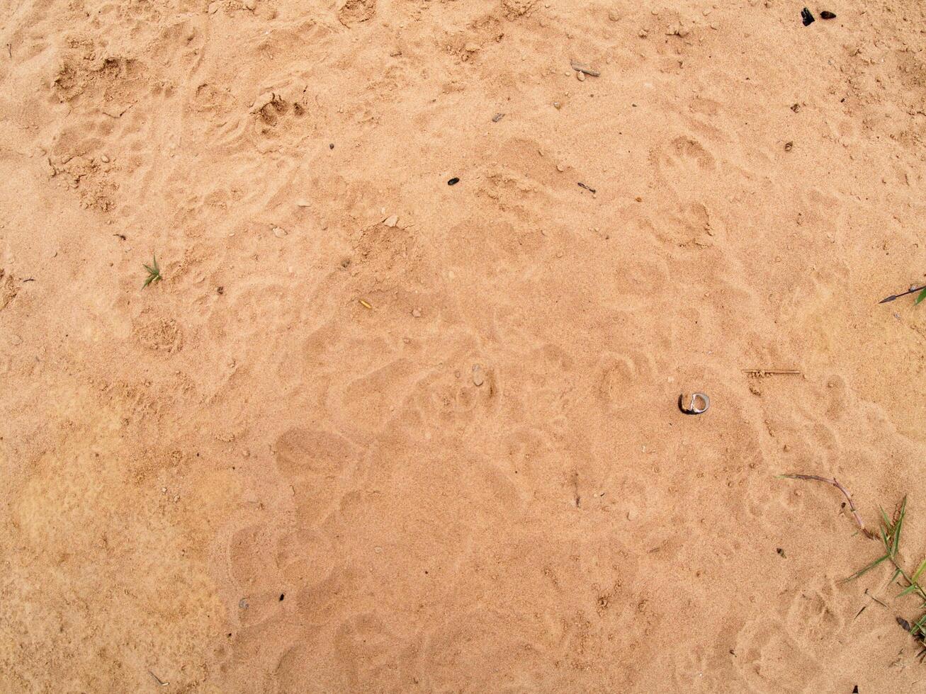 Sand floor with footprints of dogs at daytime photo