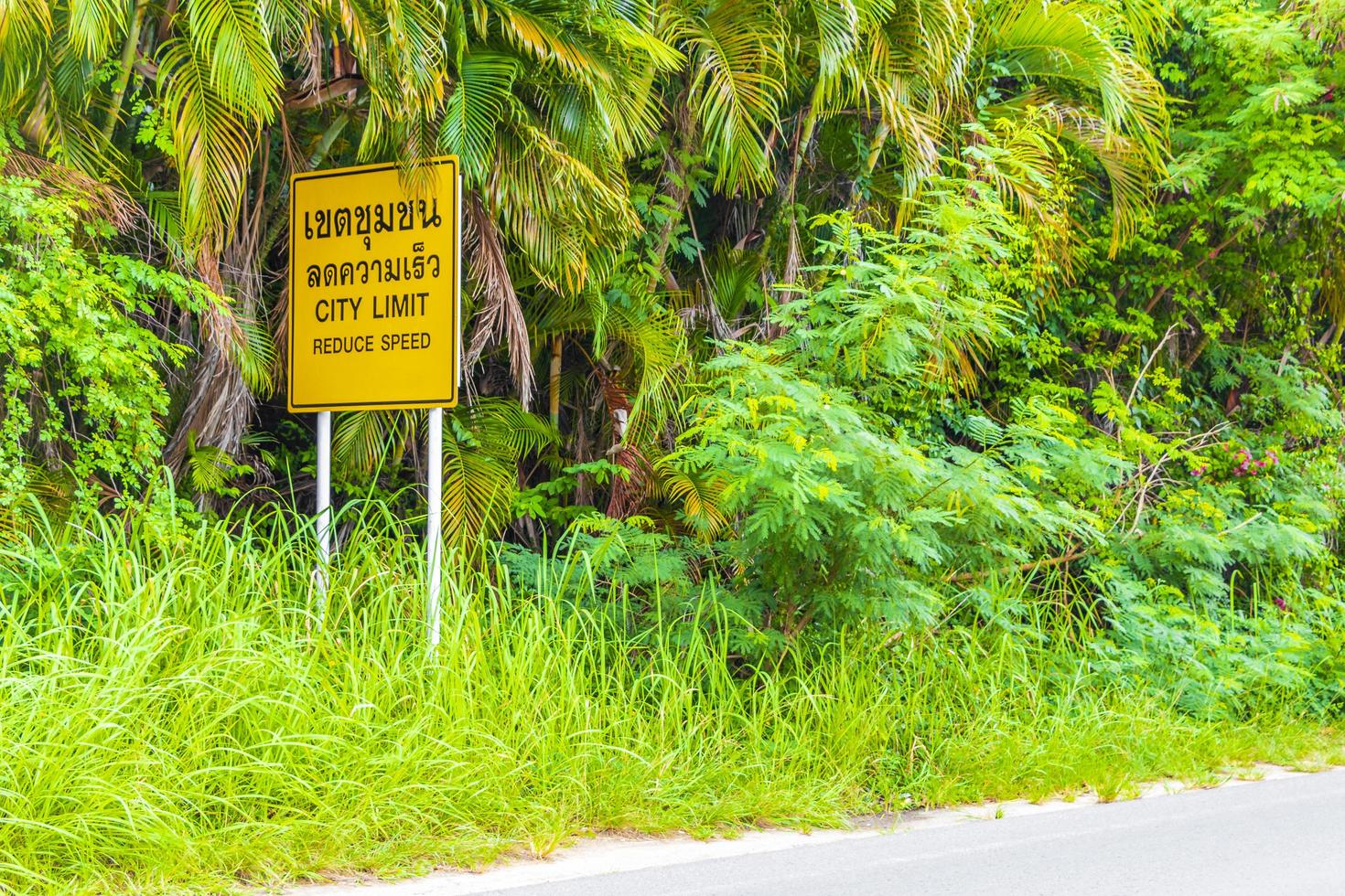 Koh Samui Surat Thani Thailand 2018 Reduce Speed yellow typical Asian street road sign Thailand. photo
