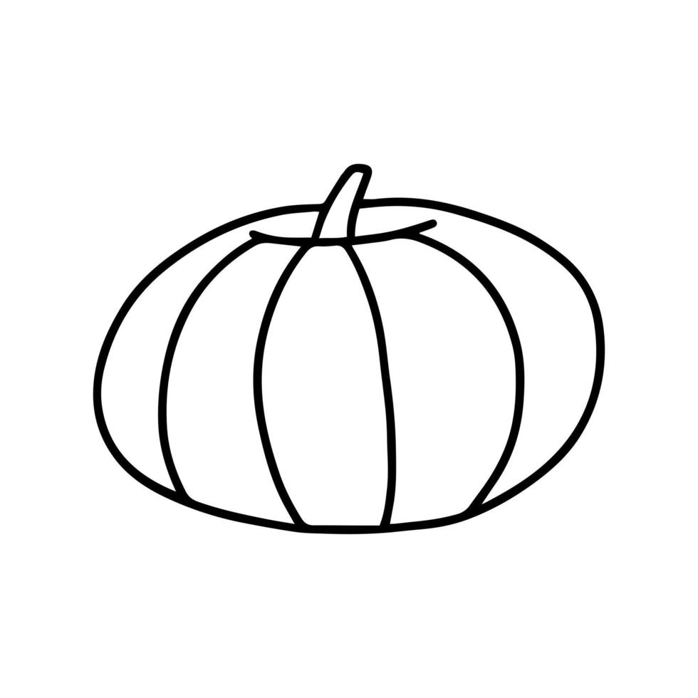 Doodle pumpkin vector isolated. Hand drawn pumpkin sketch